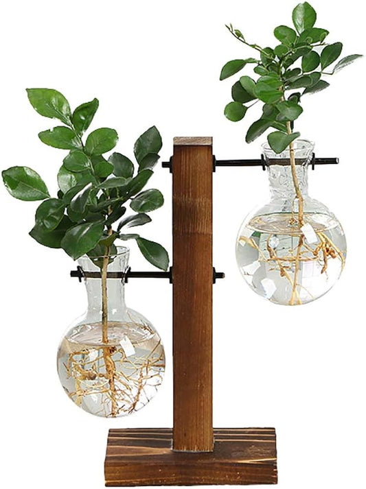 Creative Glass Desktop Planter Bulb